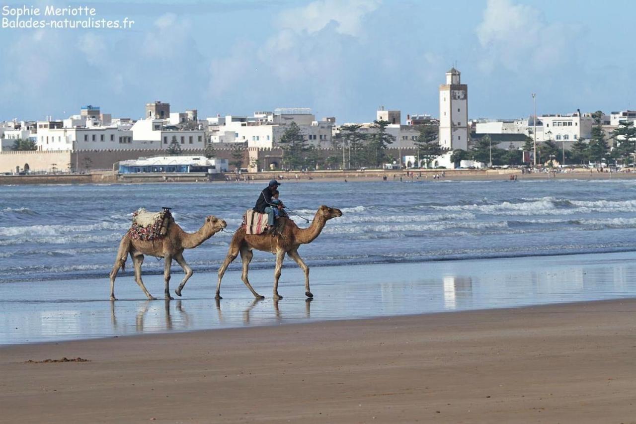 Appartement Essaouira Proche De La Mer Exterior foto